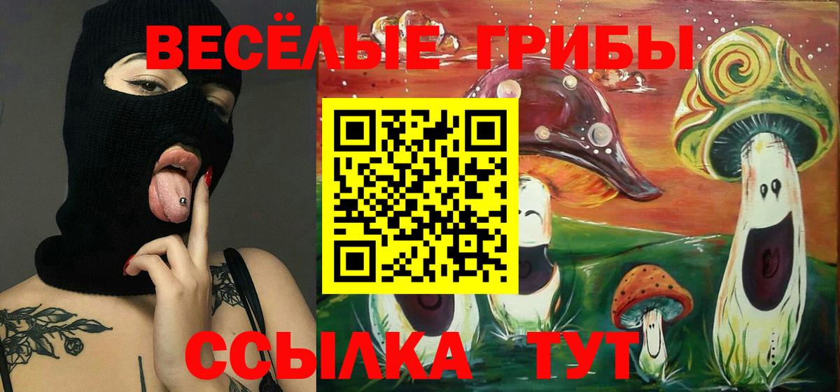 Псилоцибиновые грибы Psilocybe Усинск