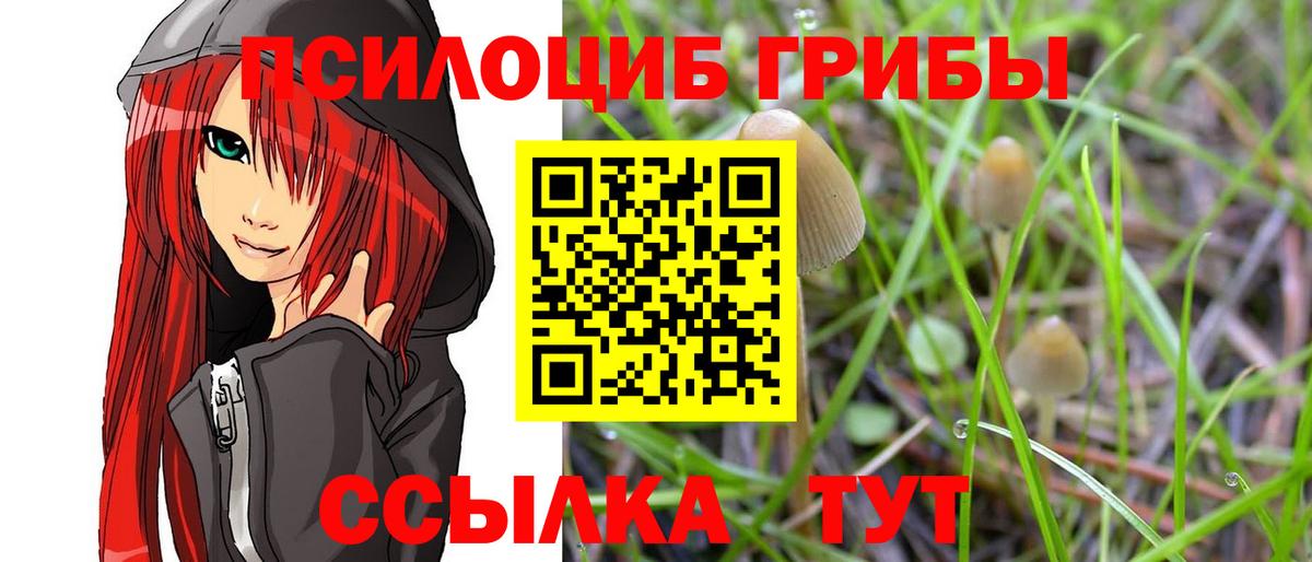 Галлюциногенные грибы ЛСД  Вход с VPN  Усинск  Псилоцибиновые грибы Psilocybine cubensis 
